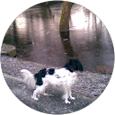 Claire Brogan profile picture